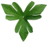 Artificial Flowers Supplement Leaves L-014