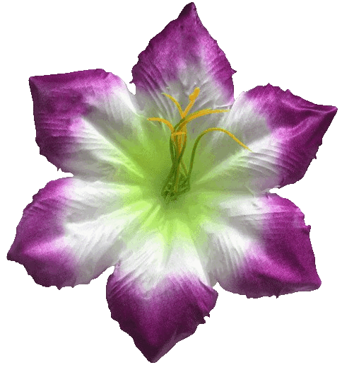 Kwiatowe główki Prasa nr 7