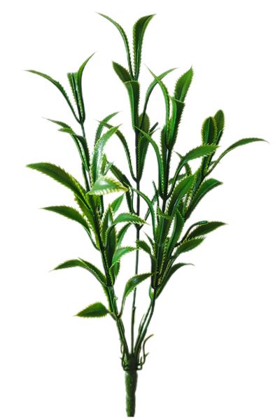 Noga bukietu 5 głów