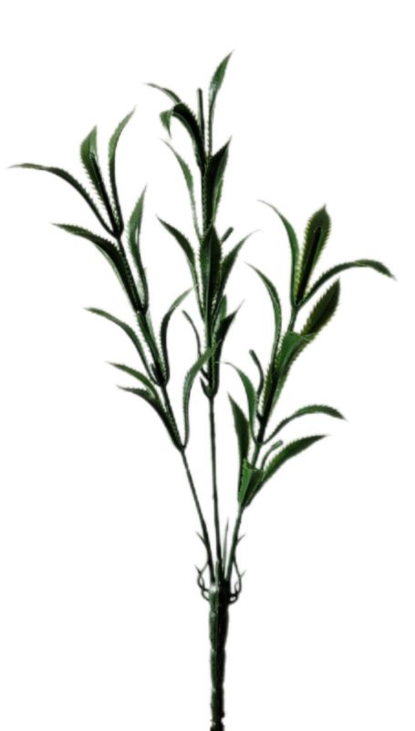 Noga bukietu 3 główki