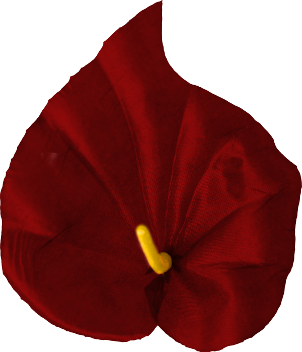 Główki kwiatowe Calla medium