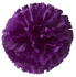 Carnation flower heads 05