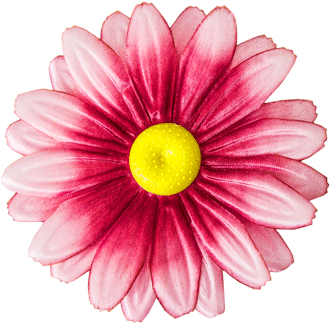 Główki kwiatowe gerbery G3 Atlas Nova