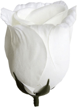 Główki kwiatowe Róża Pąk 02