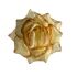 Flower heads Rose Small R2
