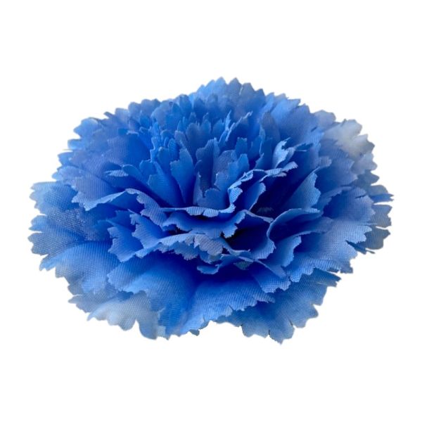 Kwiatostany goździków 03