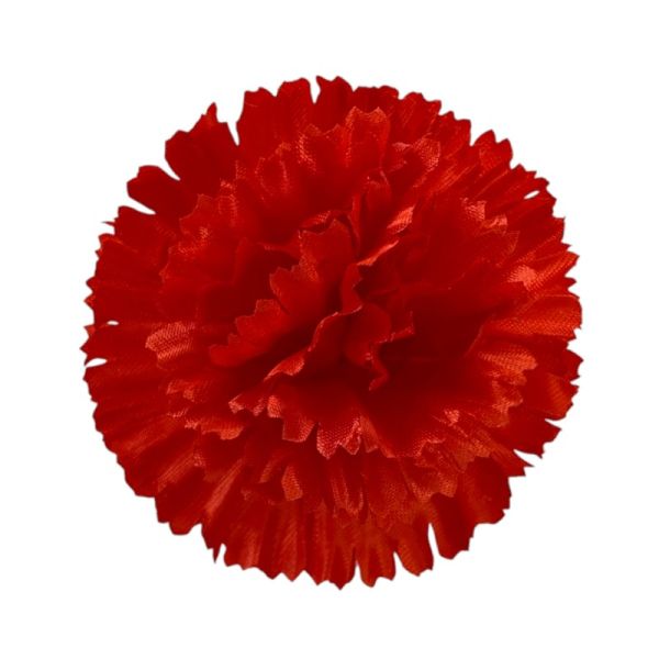 Kwiatostany goździków 02