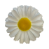 Flower heads Chamomile New silk
