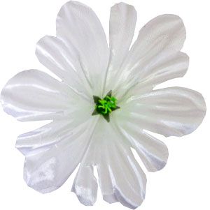 Kwiatowe główki Prasa nr 6