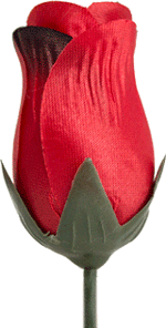 Główki kwiatów Pąk róży