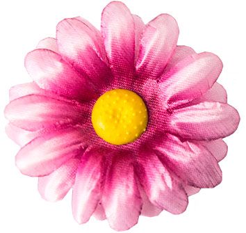 Kwiatostany Rumianku Małe G6