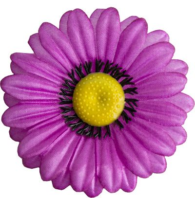 Główki kwiatów gerbery G4 Atlas