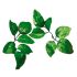 Artificial Flowers Supplement Rose Leaves