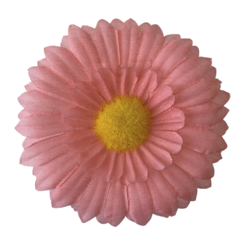 Flower heads Chamomile Silk