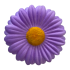 Gerbera flower heads Nova Silk