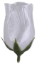 K100