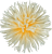 К111