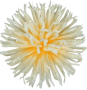 К111
