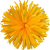К166