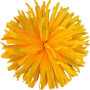К166