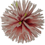 К191