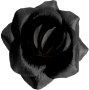 К109