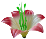 К116