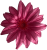 K142