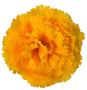 К162