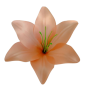 К111