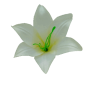 К165