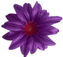 К232