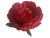 K140