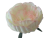 K204