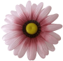 К188