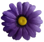 К232