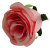 К191