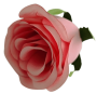 К191