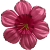 K142