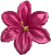 K142