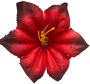 К141