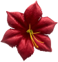 К142