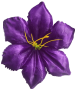 К232