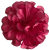 K142