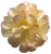 К125