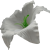 К100
