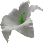 К100
