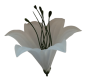 К100