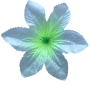 К101