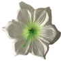 К 101